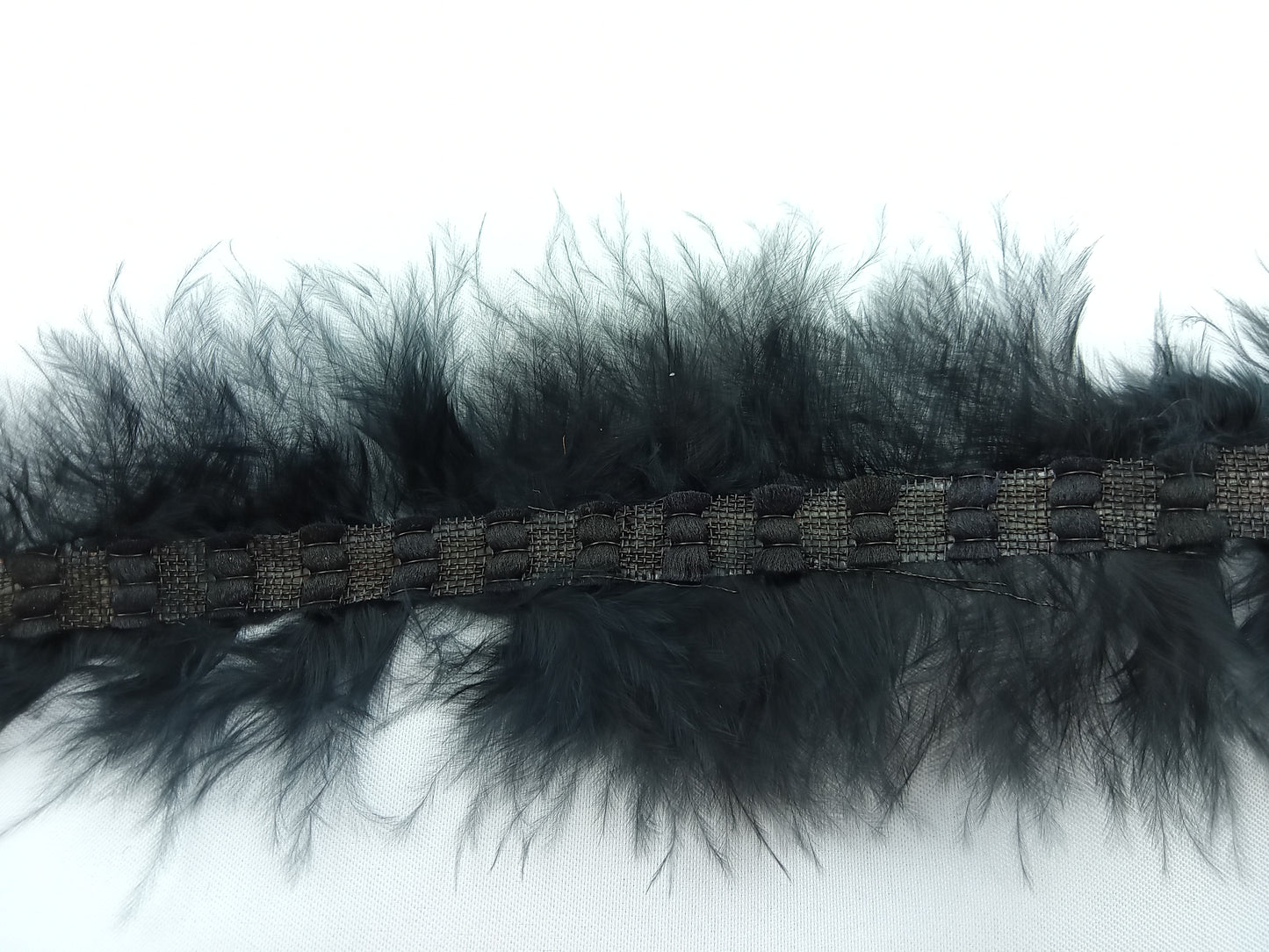 Galon avec des plumes en Noir et Brun - 10 mètre - Référence : G002