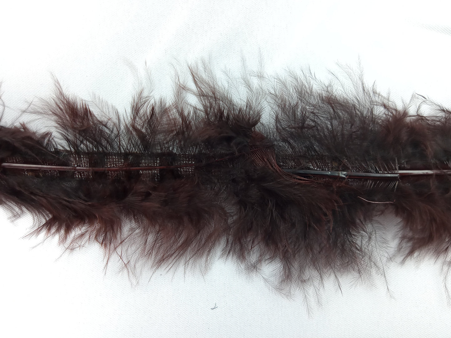 Galon avec des plumes en Noir et Brun - 10 mètre - Référence : G002