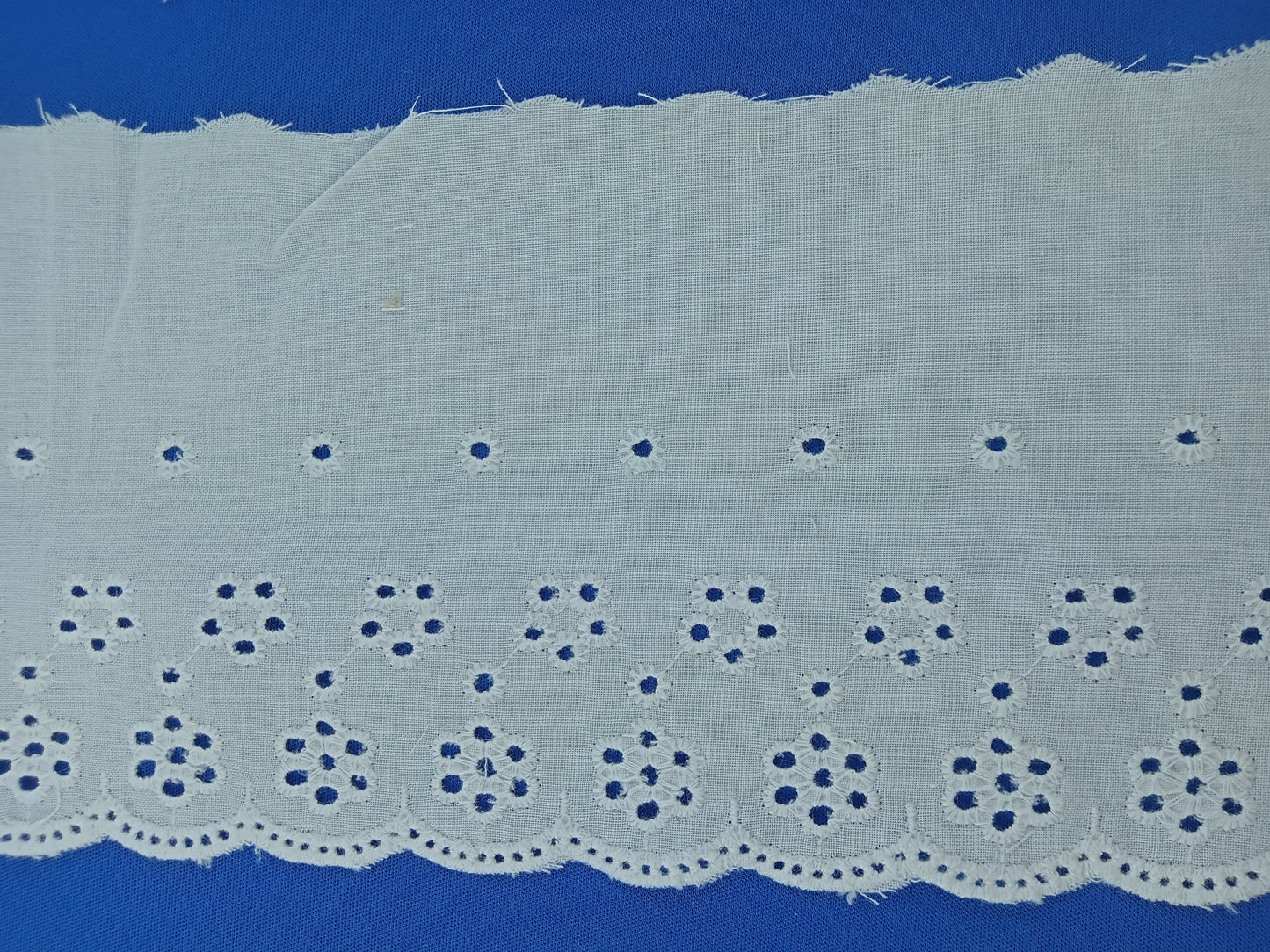 Broderie Coton - 13 mètres - Référence : RA009